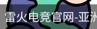 雷火电竞官网-亚洲电竞领航者